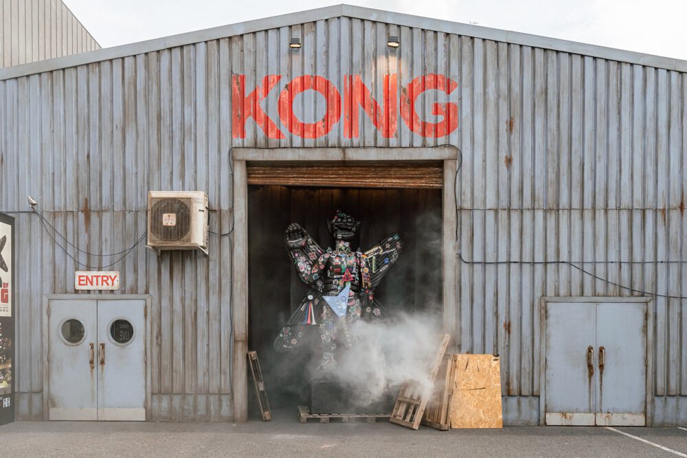 House-of-Kong-by-@shotbyphox