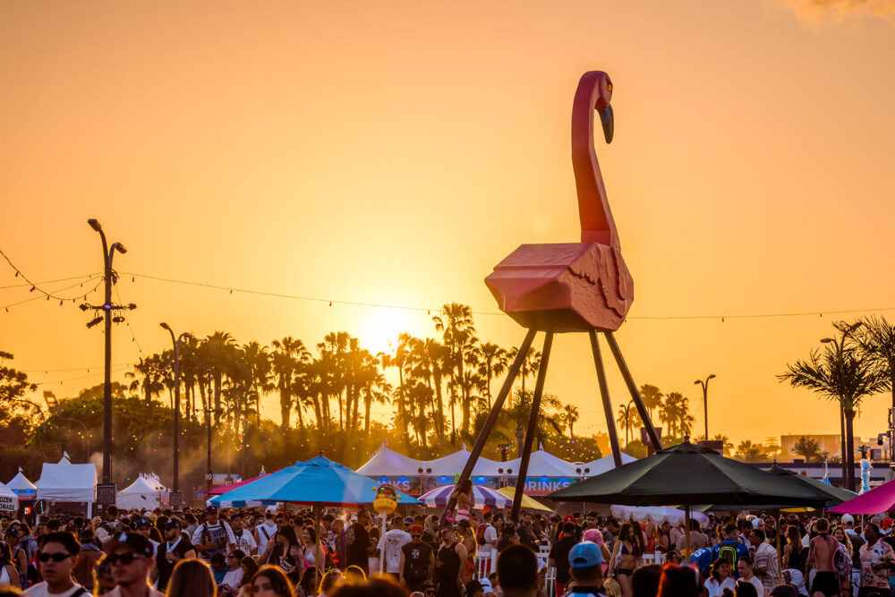 DayTrip-Fetival-Official